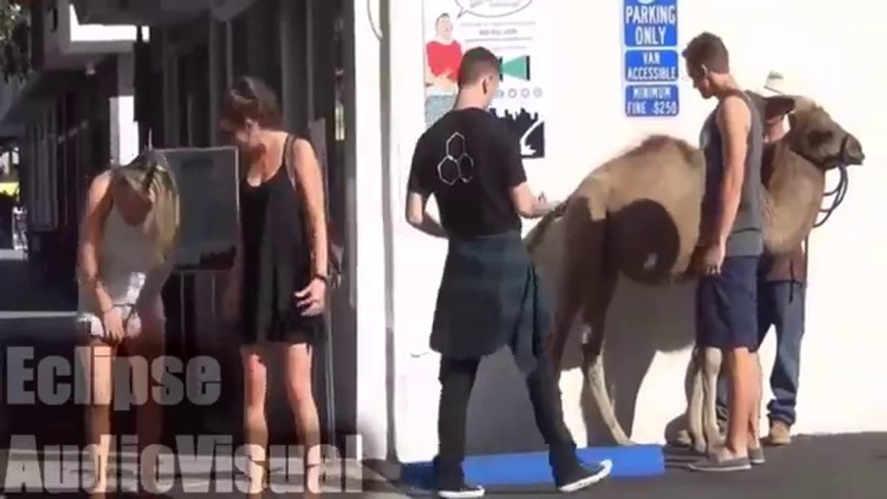 Funny Videos That Make You Laugh So Hard You Cry Compilation - Try Not To Laugh