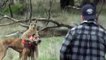 Lol: Conor Mcgregor Fights The Kangaroo For Putting Hands On The Dog!