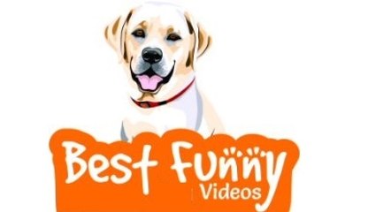 என்னவெல்லாம் நடக்குதுனு நீங்களே பாருங்க..