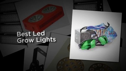 Best Led Grow Lights