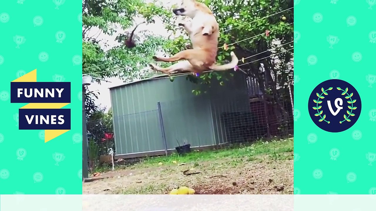 NEW *Try Not To Laugh or Grin Challenge* | Funny Vines 2016