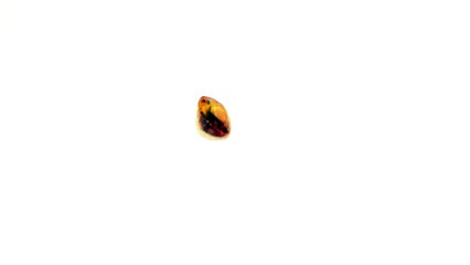 C20 N Yellow Sapphire Pukhraj Stone 2.88 crt