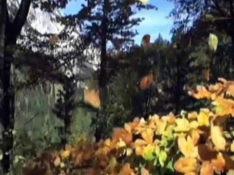 GELMESİNİ İSTEMEM & DURMUŞ YIĞMAN & SESLENDİREN VİDEO KLİP & AYNUR AVCI