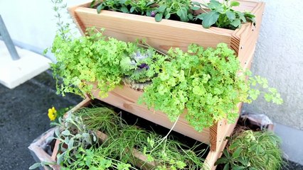 Prix ARTINOV 2016 catégorie Produit : Corti'Val à Rumilly