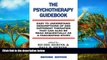 Read Online Richie Herink The Psychotherapy Guidebook Audiobook Download