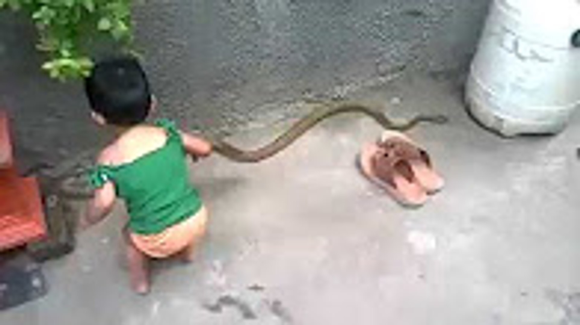 Kids Funny Video ★ Funny Videos Of Kids ★ Funny Videos For Kids ★ Funny Baby Fails