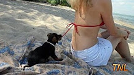 Funny videos 2016 : Stupid people doing stupid things