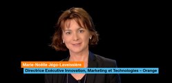 A vision of the telecoms wholesale marketplace with Marie-Noëlle Jégo-Laveissière