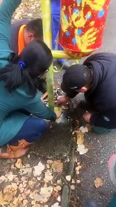 во Струга се реализира акција за поставување на изложба од корпи за отпадоци низ целиот град