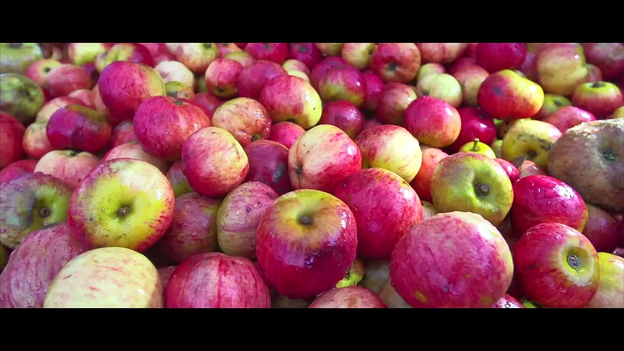 Pause gourmande dans le Cotentin !