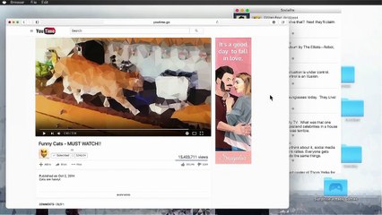 Orwell - Analyse (tirée de GK l'émission #314)