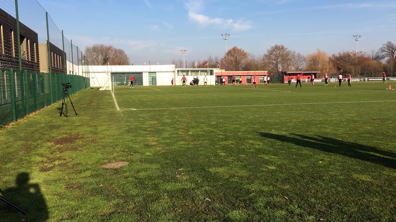 Un chien à l'entraînement du Stade Rennais