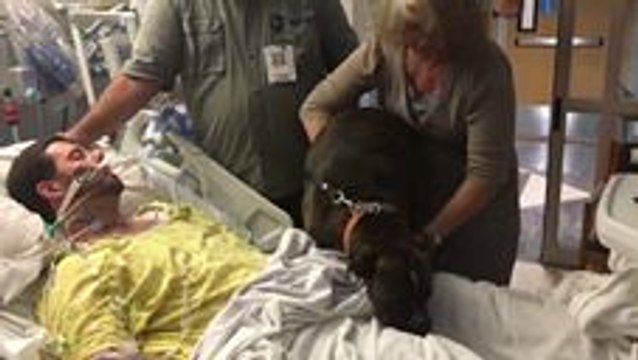 Dogs Says Final Goodbye at Owner's Hospital Bedside