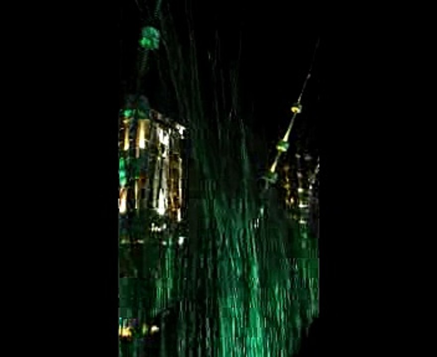 Fête des lumières 2016 Arbore'lum 2