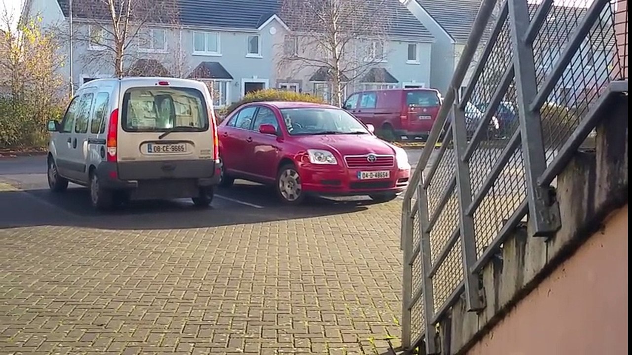 Funny and cute beagle honking the horn  Come On Dad, You're Taking to Long!