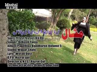 Pashto New Song 2016 Dilkash Tania - Dilme Baram Dil Dil HD
