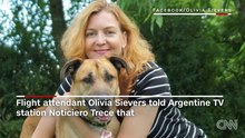 Ce chien attend devant un hotel son adoption