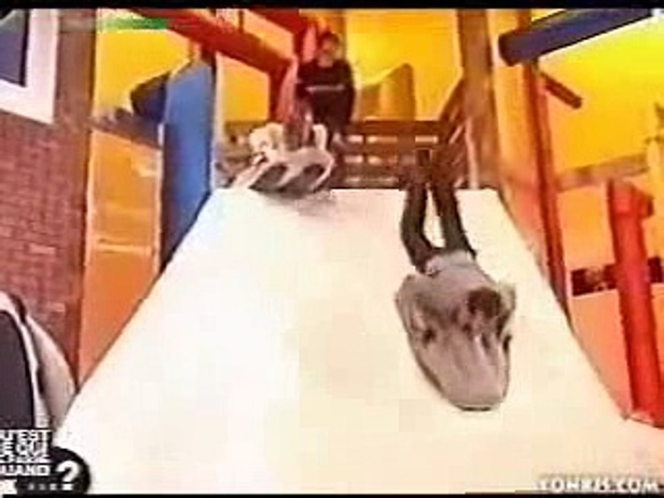 Une fille sans culotte à la télévision