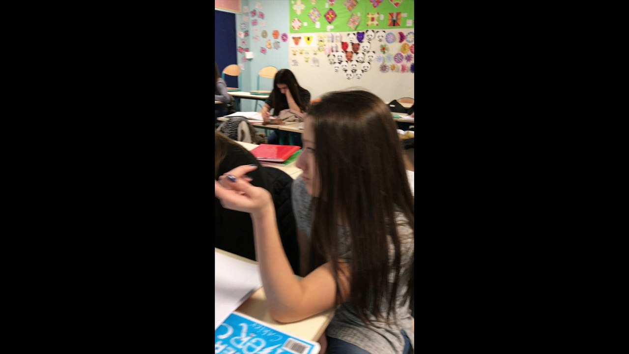 Mannequin Challenge Collège Nicolas Appert