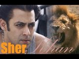 SALMAN KHAN 'S UPCOMING LATEST BOLLYWOOD HINDI NEW MOVIES 2013 2014