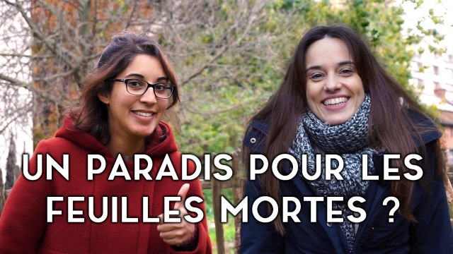 Que deviennent les feuilles qui tombent à l'automne ?