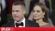 Angelina Jolie demande à Brad Pitt de voir un expert en traumatismes pour leurs enfants