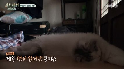 쿵이 특기 모닝뽀뽀로 에릭&균상 기상!