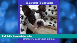 Pre Order Boston Terriers: Adult Coloring Book Pam Meily On CD