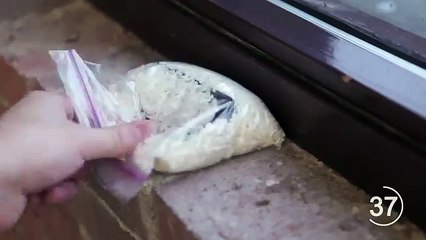 how to save your phone from water damage