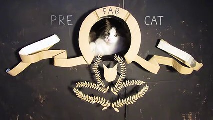 Este hombre construyó un palacio en forma de dragón para su gato