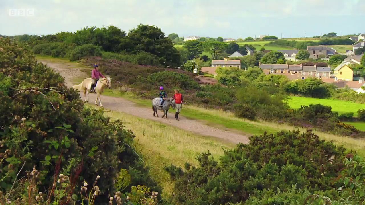 Something_Special_Were_All_Friends_Series_9_-_6._Horse_Riding_by_the_Sea_b03skfmf_original