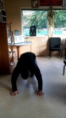 Behind clapping push ups training 1