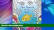 Pre Order The Secret of the Sea: Search for hidden treasure from the sunken ship. A colouring book