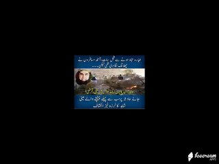 7 To 8 Peoples Jumped Out From PIA PK-661 Crashed Plane