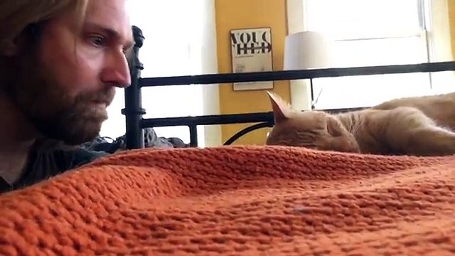 Son chat le réveille chaque nuit, il se venge pendant sa sieste