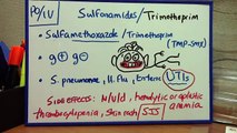 ANTIFOLATE, GYRASE INHIBITORS AND FLUOROQUINOLONES