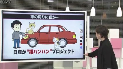 たたいて救える小さな命　日産「猫バンバン」プロジェクト