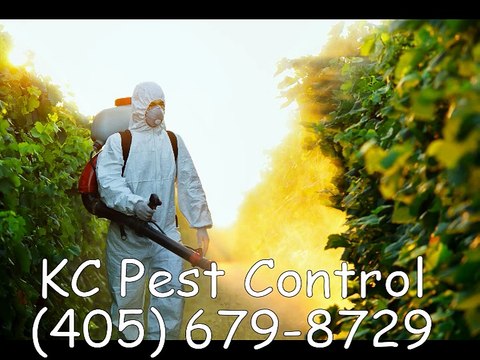 KC Pest Control - (405) 679-8729