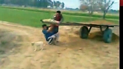 WhatsApp Funny Videos Indian HD Funny Videos Latest Comedy Compilation 2017