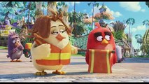 ANGRY BIRDS -  Coucou !  - Extrait # 4 VF