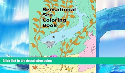 Pre Order Sensational Sea Coloring Book Icelandic Taco On CD