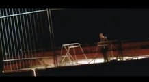 Tiger Attacks Its Trainer At Circus  Raw Video