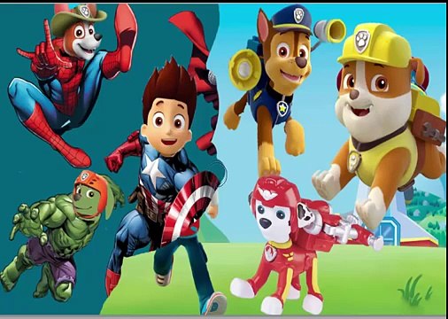 Funny Paw Patrol in marvel super heroes hulk ironman captain america thor transforming spiderman