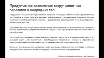 Путину Медведеву. Москва. Пьяный вредитель-головорез изрубил и намазал гноем колено