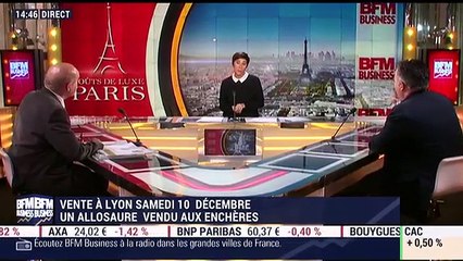 Le Goût des autres: Vente aux enchères d'un Allosaure le samedi 10 décembre à Lyon - 09/12
