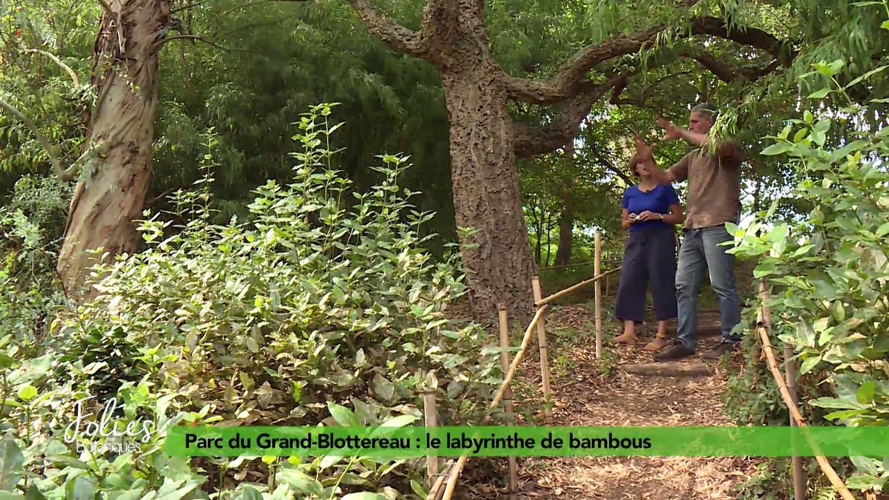 Folies Botaniques au Grand Blottereau #6