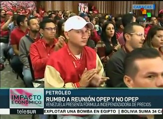 Venezuela propondrá fórmula independiente para nivelar petroprecios