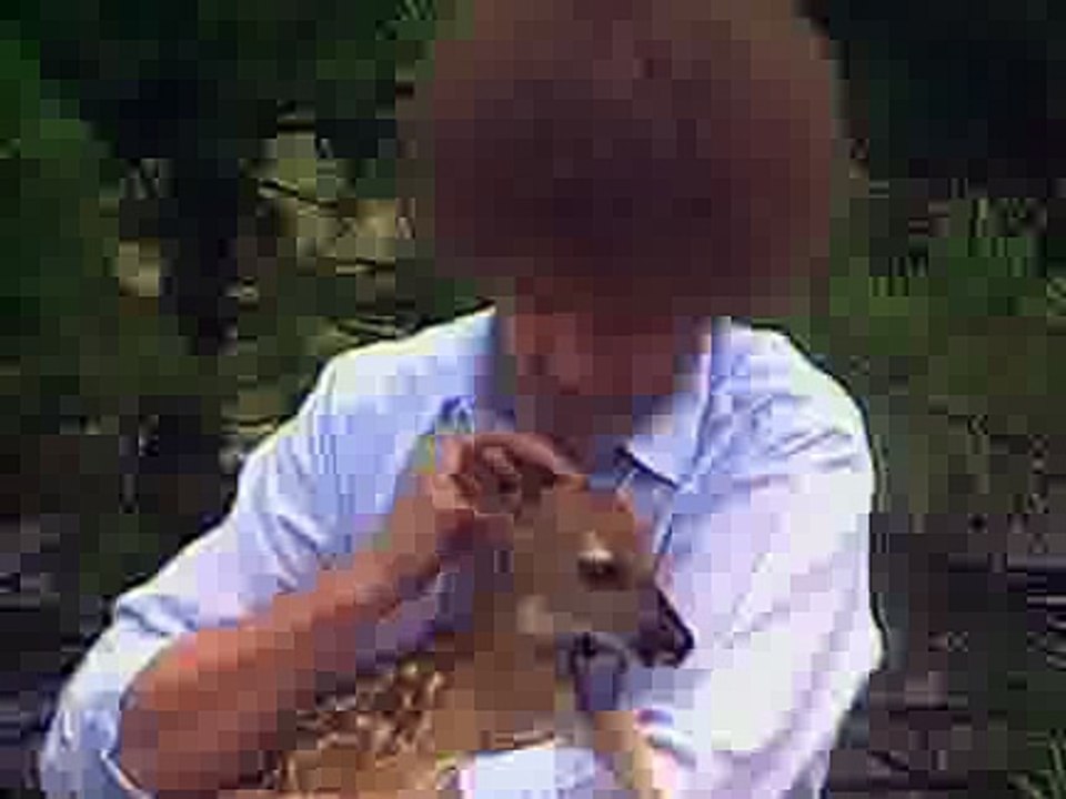 Bob Ross Pastel Seascape S22E11