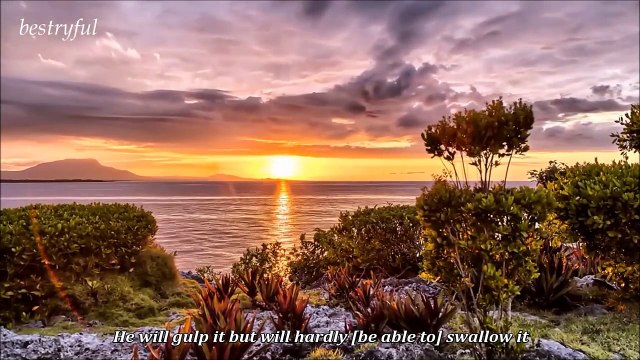 amazing Quran Recitation || by idris abkar