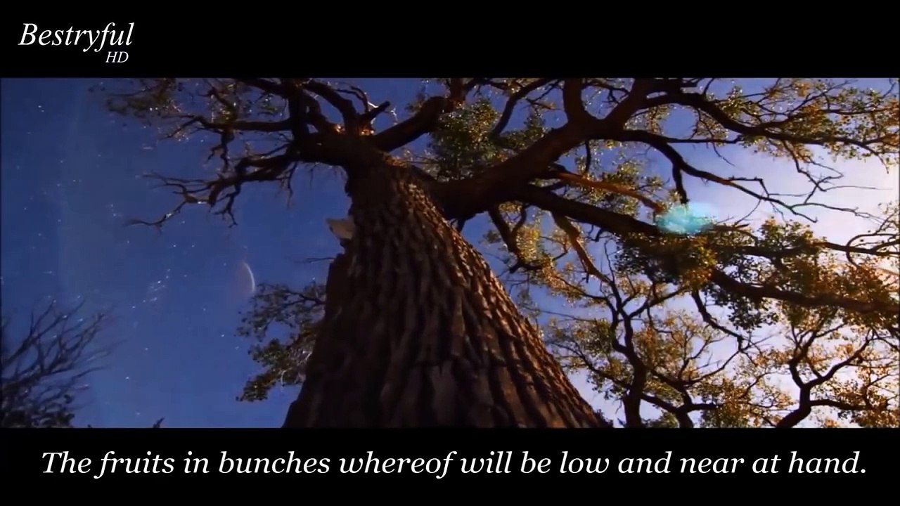 The reality || the most beautiful Quran recitation || heart trembling  || by Abdul Aziz Zahrani